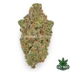Dream Queen (Value Plus+ Bud)