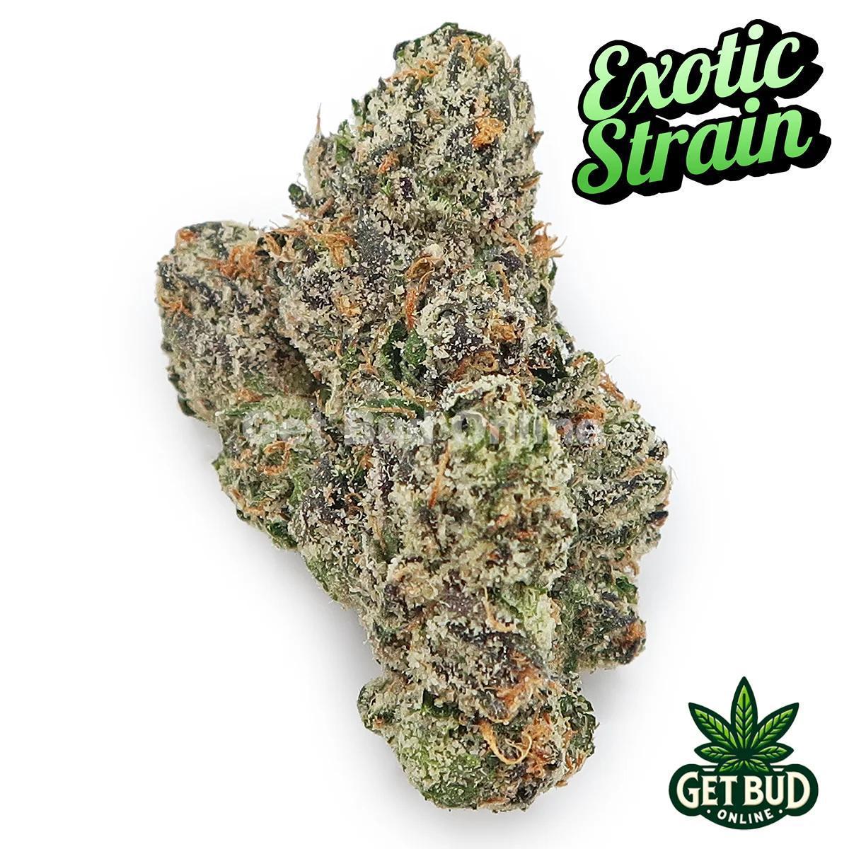 Zkittles Mints (Exotic Reserve Strain) 💎🔥