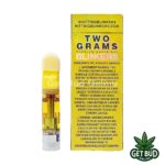 Blinkers 2g Premium Cartridge - Gushers - Image 2
