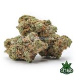 Dream Queen (Value Plus+ Bud) - Image 2