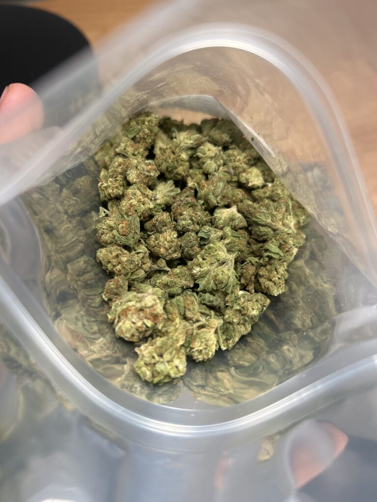 Image #1 from Ashton Offenbacher