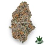 Agent Orange (Top Shelf)