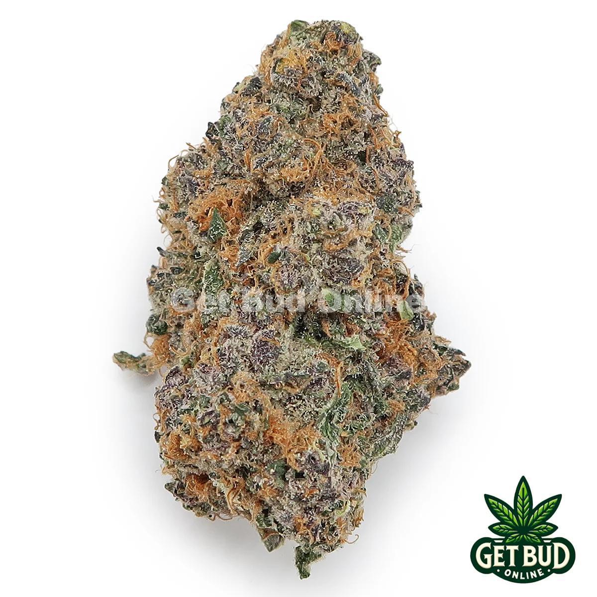 Agent Orange (Top Shelf)