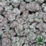 Lemon Cherry Terdz (Value Bud) - Image 3