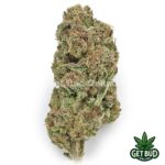 Lemon Cherry Fritter (Value Bud)