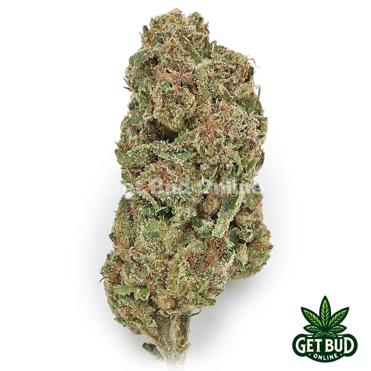Lemon Cherry Fritter (Value Bud)