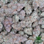 Agent Orange (Top Shelf) - Image 3