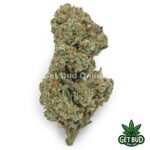 Lemon Cherry Terdz (Value Bud)