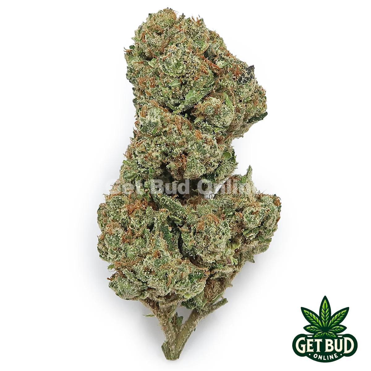 Lemon Cherry Terdz (Value Bud)
