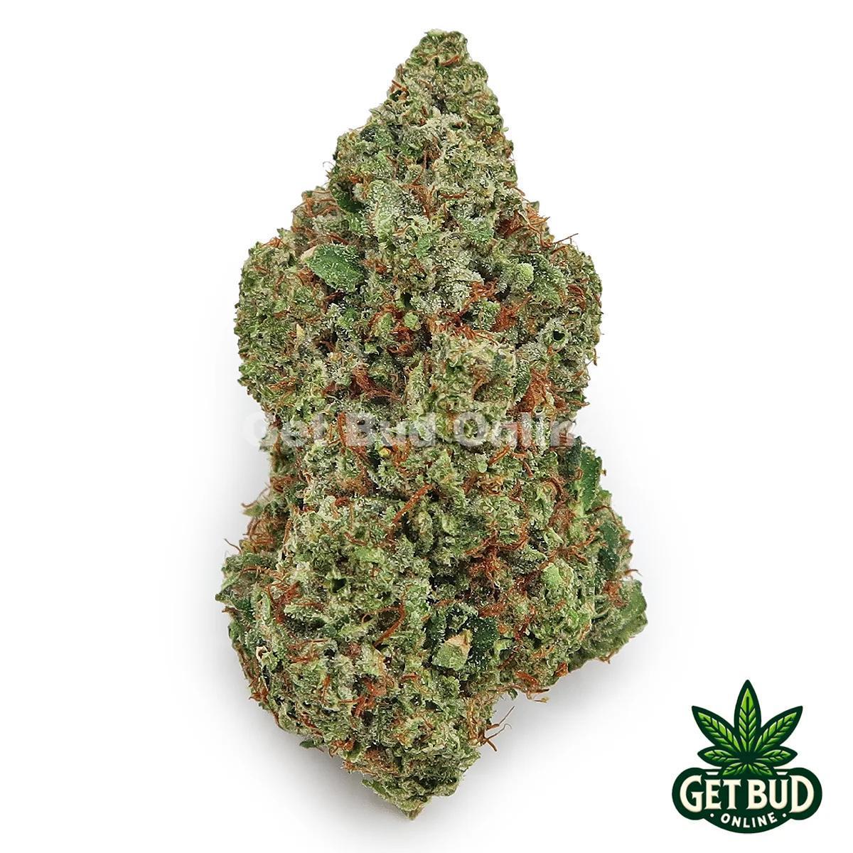 Goji OG (Value Plus+ Bud)