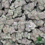 Sour Lemon (Value Bud) - Image 3