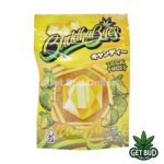 Buddha Bites THC Infused Gummies 600mg - Jackfruit