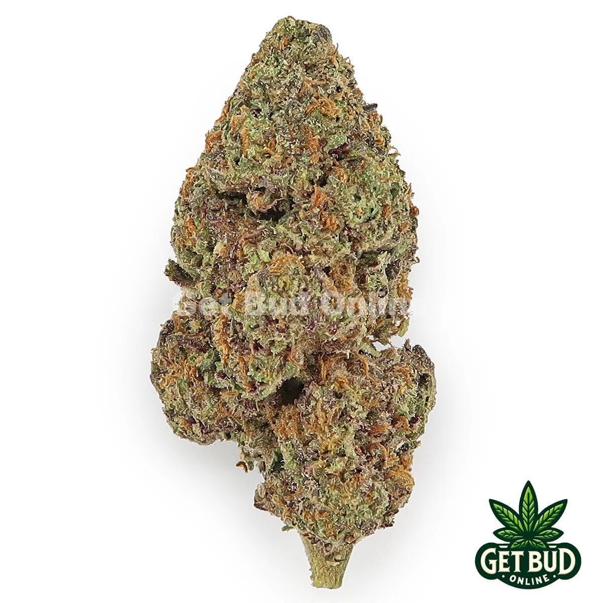 Zoap (Value Bud)