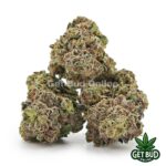 Jealousy (Value Bud) - Image 2
