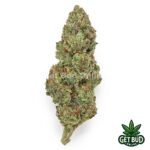 Sour Lemon (Value Bud)