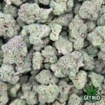 Cartel Cut (Value Bud) - Image 3