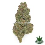 Cosmic Candy (Value Bud)