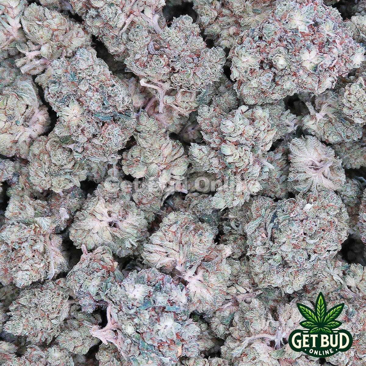 f87a2694-420f-4f6c-9f49-fb033554d565.jpeg Sticky Glue (Value Bud) - Image 3