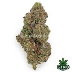 Jealousy (Value Bud)