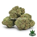 Tropical Gelato (Value Bud) - Image 2