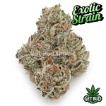 Shangri-La (Exotic Reserve Strain) 💎🔥