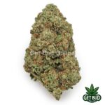 Cherry Bomb (Value Plus+ Bud)