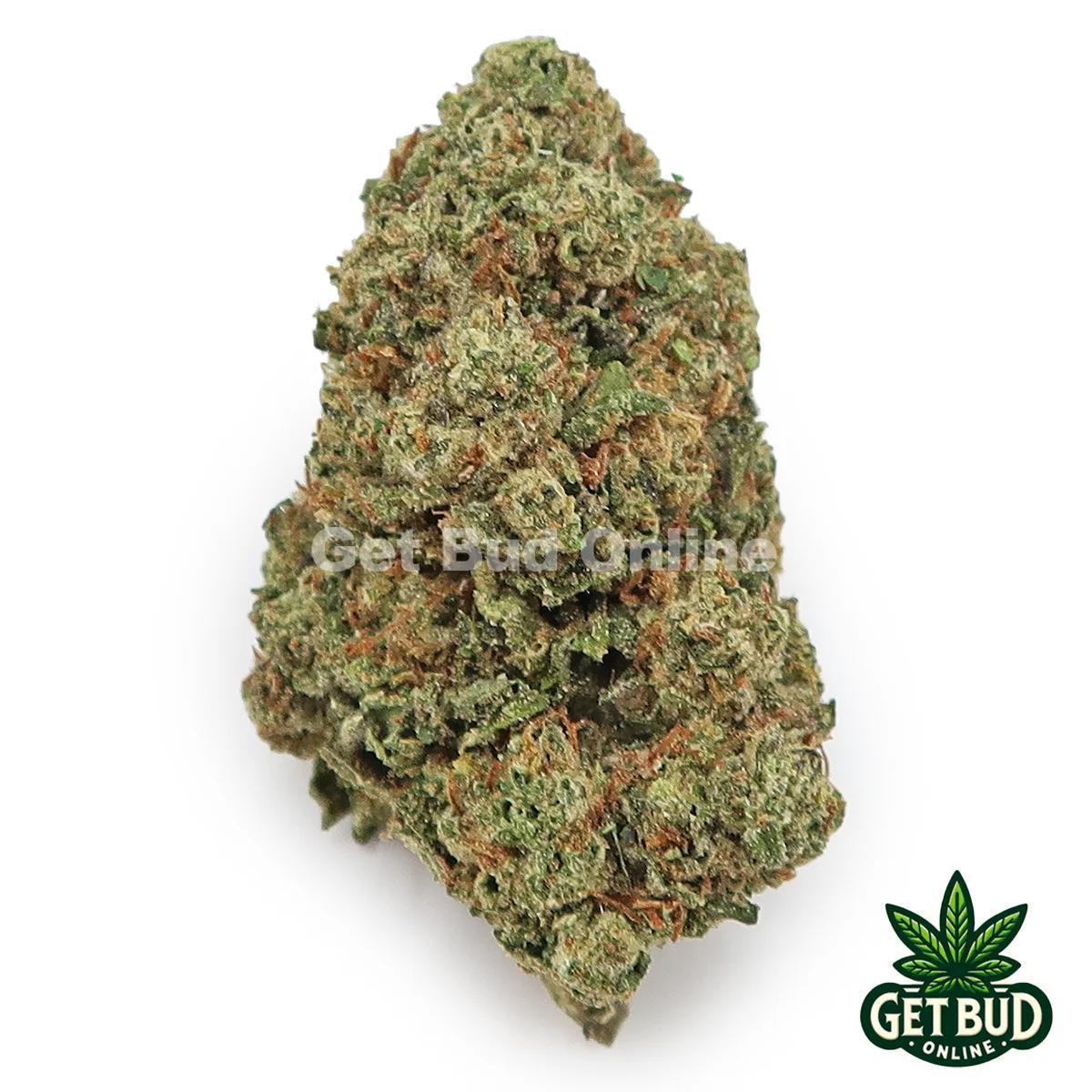 Cherry Bomb (Value Plus+ Bud)