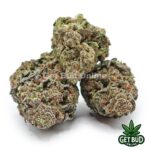 Gushmintz (Value Bud) - Image 2