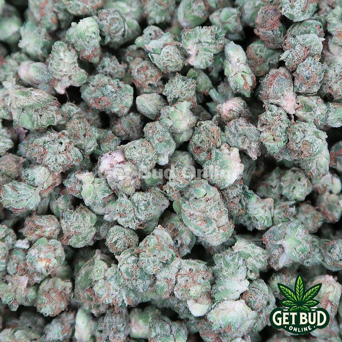 GMO 💧 (Micro Buds) 🔥 OZ Only Deal 🔥