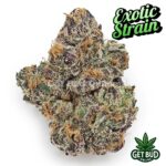 Cherry Lime Runtz (Exotic Reserve Strain) 💎🔥