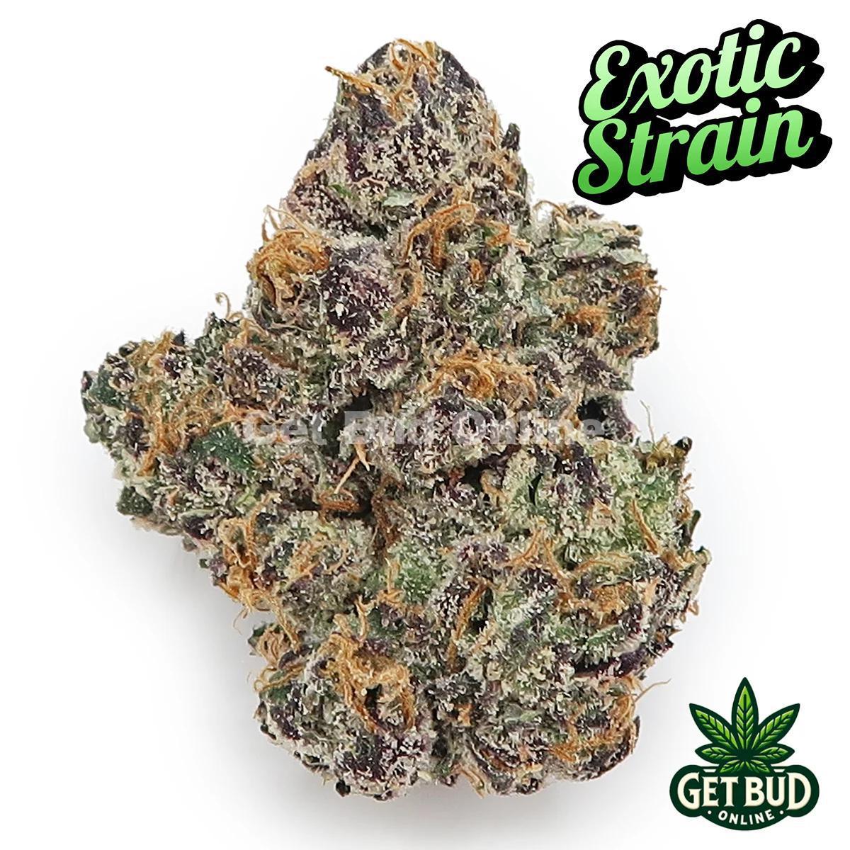 Cherry Lime Runtz (Exotic Reserve Strain) 💎🔥