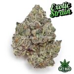 98K (Exotic Reserve Strain) 💎🔥