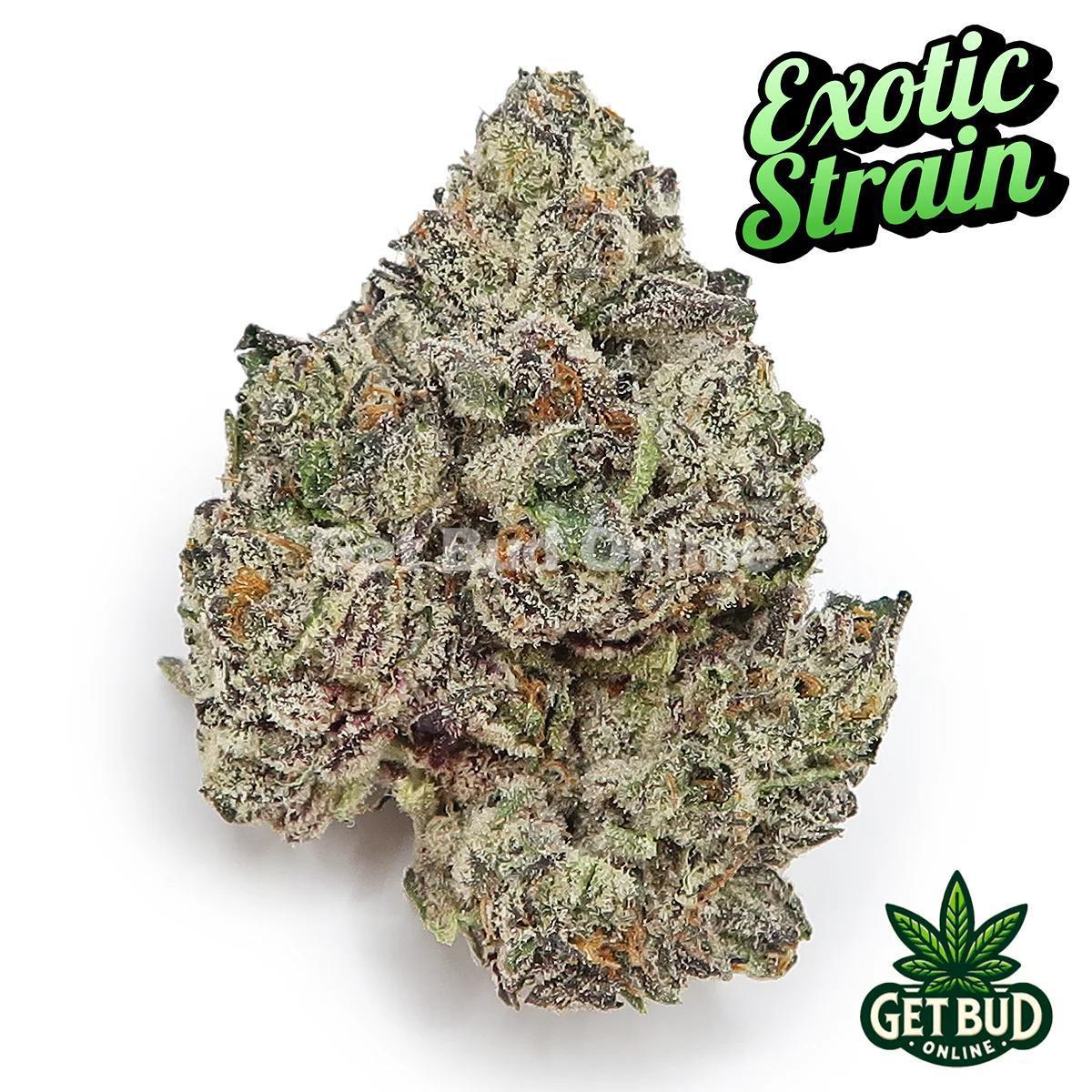 3412cbc8-01f4-4194-915d-98eea65e20b5.jpeg 98K (Exotic Reserve Strain) 💎🔥 - Image 1