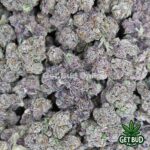 Black Magic (Exotic Reserve Strain) 💎🔥 - Image 4