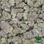 Blue Gelato (Value Bud) - Image 3
