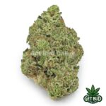 Tropical Gelato (Value Bud)