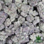 Gushmintz (Value Bud) - Image 3