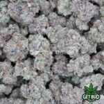 Shangri-La (Exotic Reserve Strain) 💎🔥 - Image 4