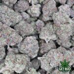 Pink Lemonade (Value Plus+ Bud) - Image 3