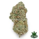 Sugar Mama (Top Shelf)