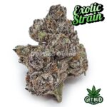 Black Magic (Exotic Reserve Strain) 💎🔥