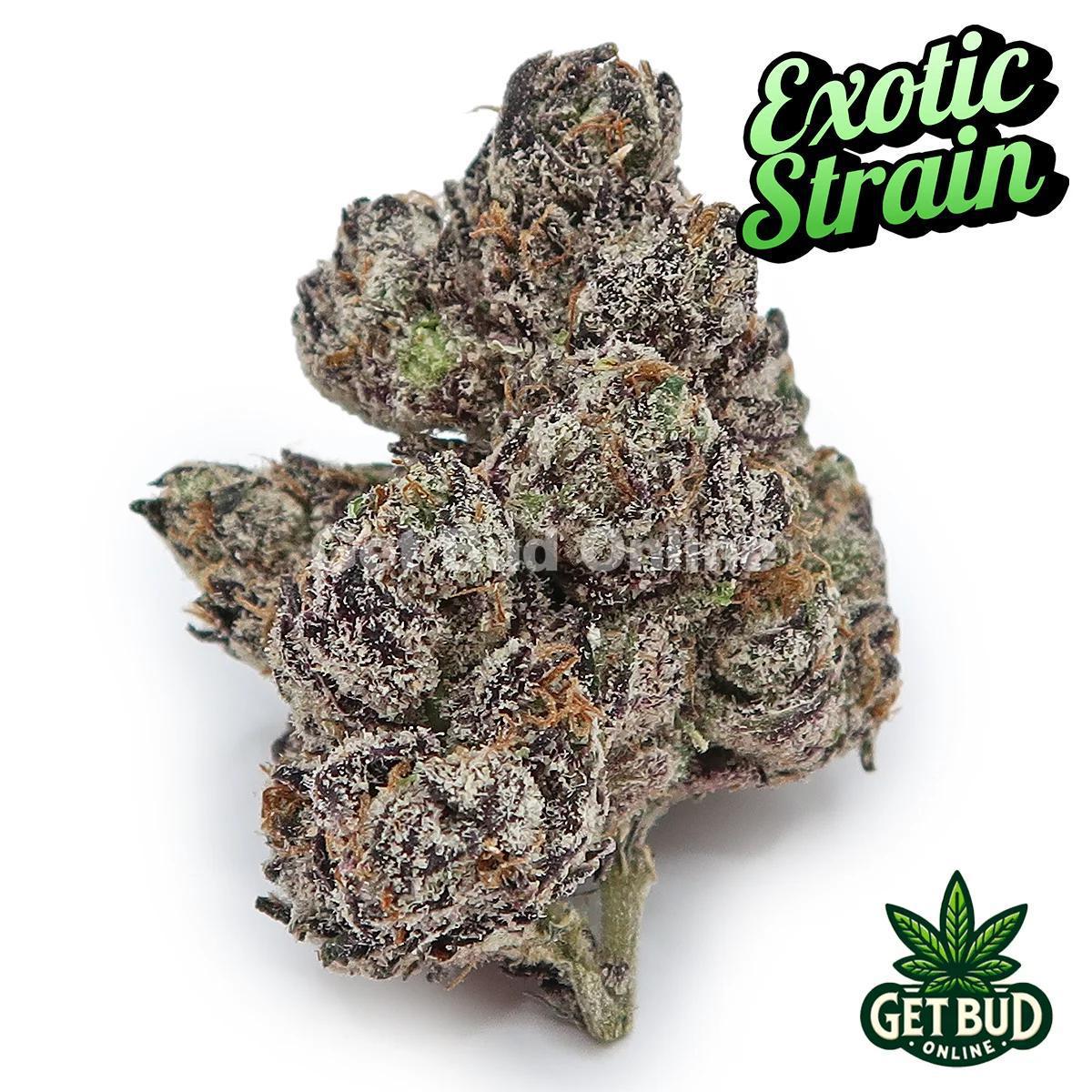 Black Magic (Exotic Reserve Strain) 💎🔥