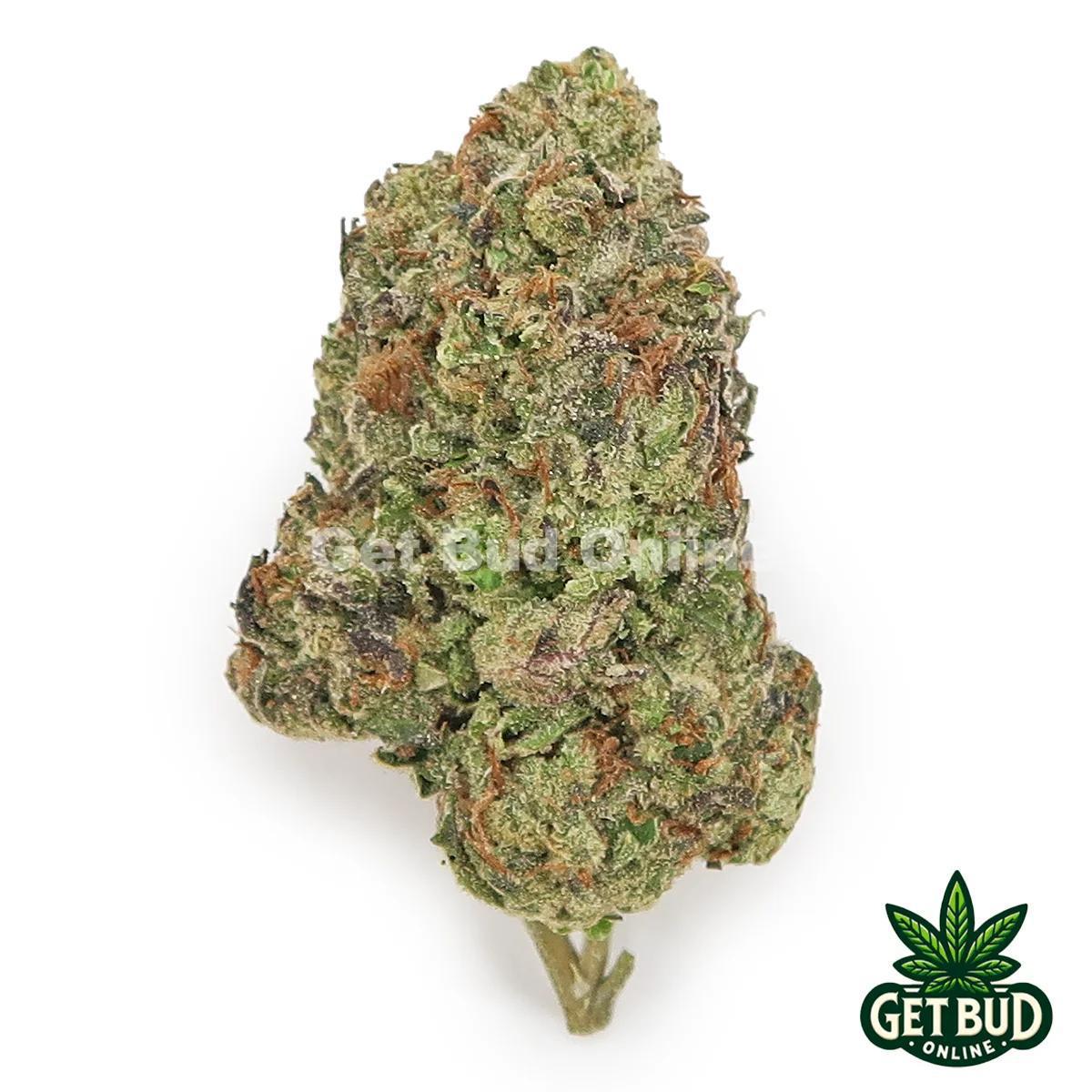 Blue Gelato (Value Bud)