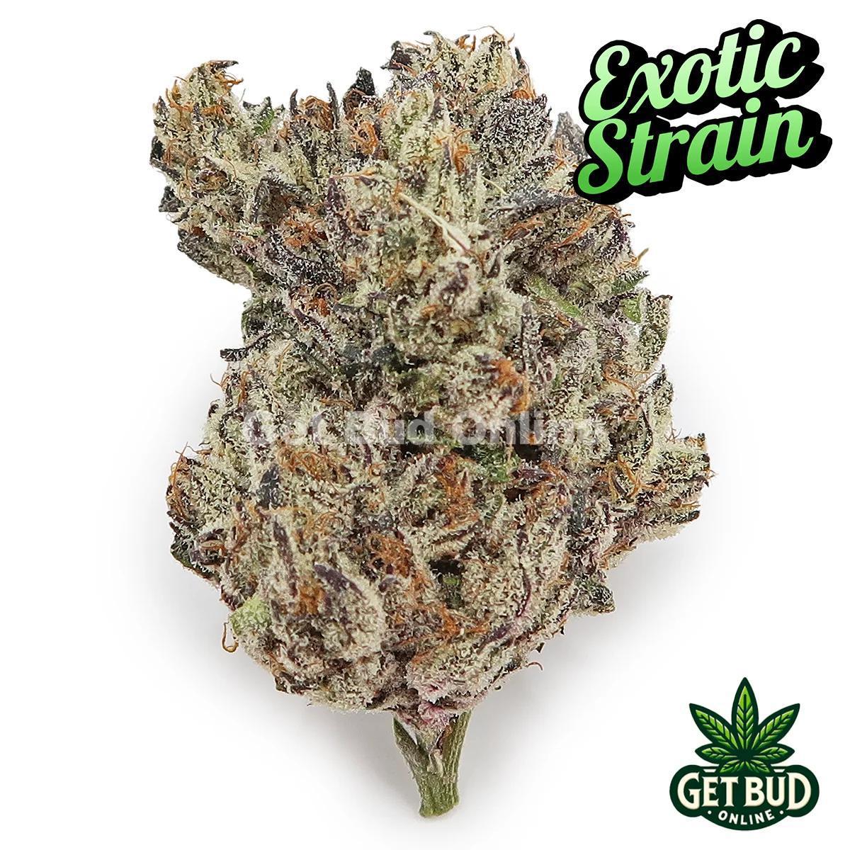 9000102d-baee-4361-b23a-390d65fa508c.jpeg Purple Reign (Exotic Reserve Strain) 💎🔥 - Image 1