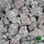 Super Cheese (Value Bud) - Image 3