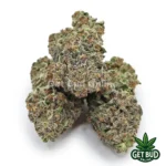 Berries N Cream (Value Bud) - Image 2