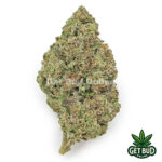 Cherry Gorilla (Value Bud)