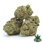 Cherry Gorilla (Value Bud)