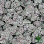 Cherry Gorilla (Value Bud)