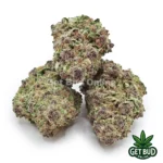 Tropicanna Haze